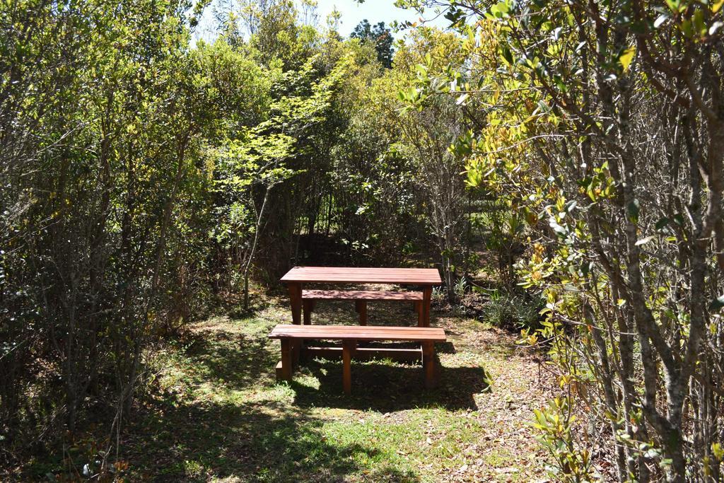 Forest Edge Rheenendal Ngoại thất bức ảnh