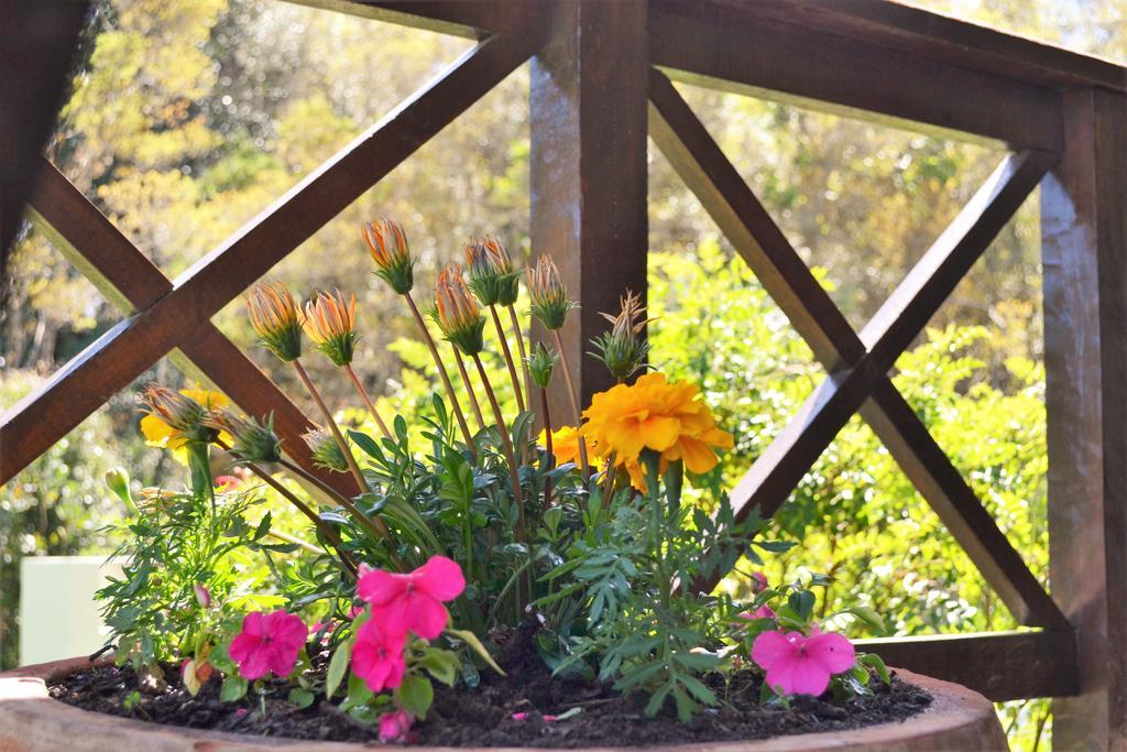 Forest Edge Rheenendal Ngoại thất bức ảnh