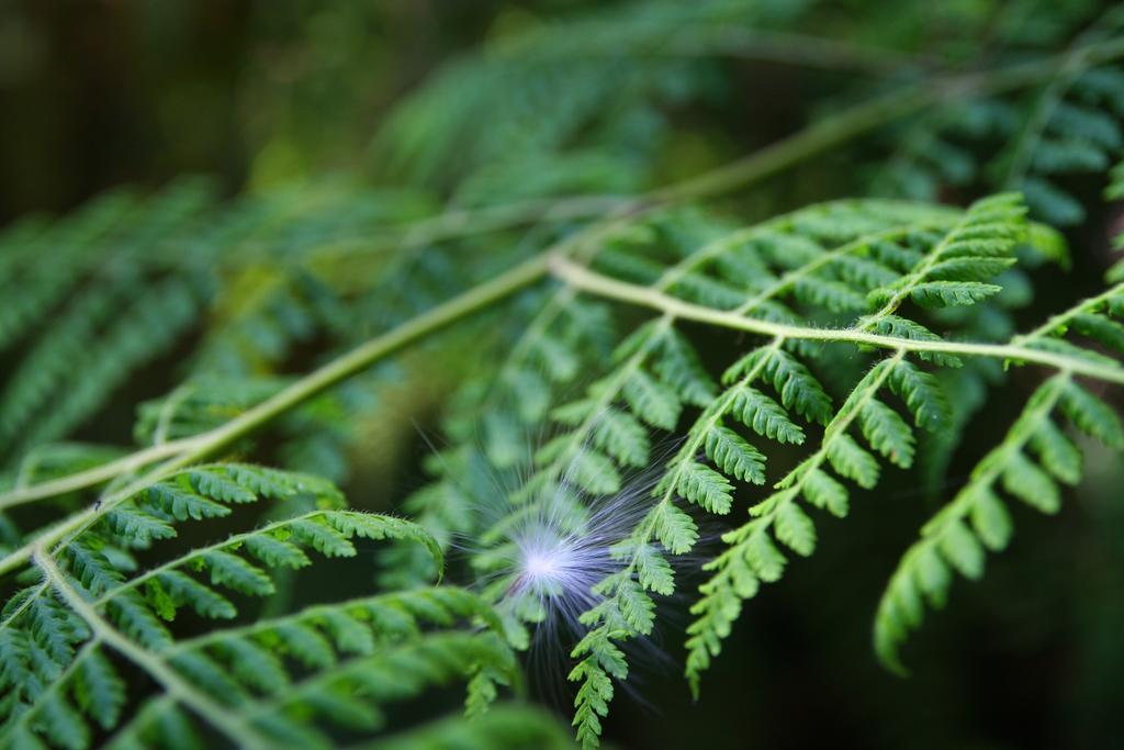 Forest Edge Rheenendal Ngoại thất bức ảnh