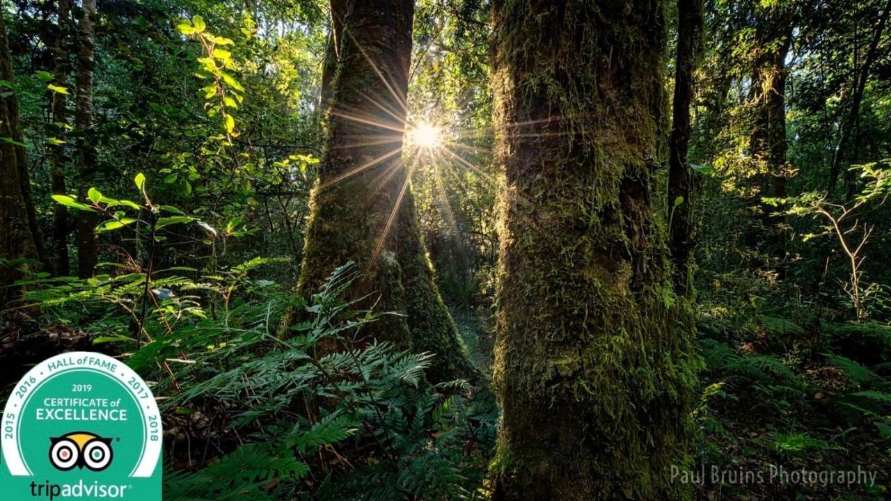 Forest Edge Rheenendal Ngoại thất bức ảnh